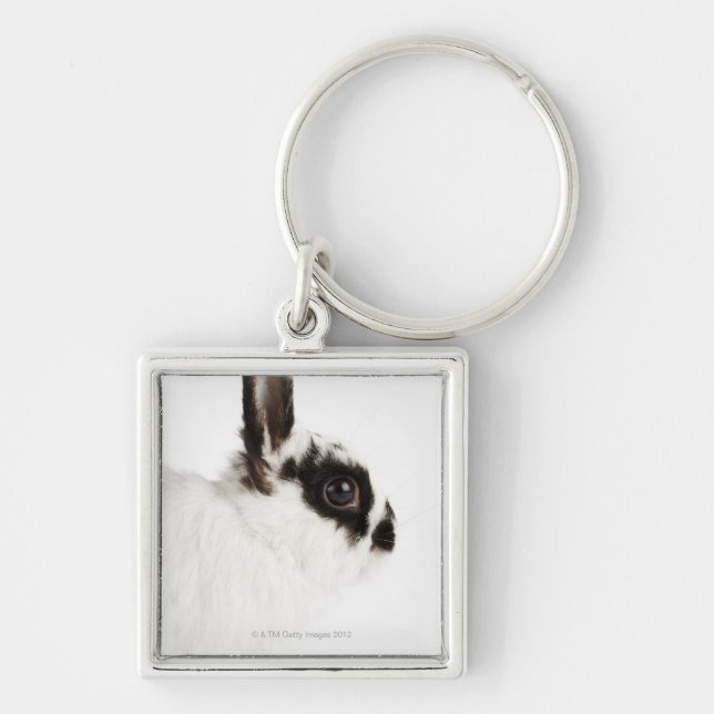 Jersey Wooly Rabbit Keychain (Front)