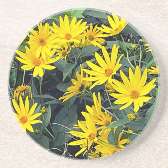 Jerusalem Artichoke Flowers Sandstone Coaster (Front)