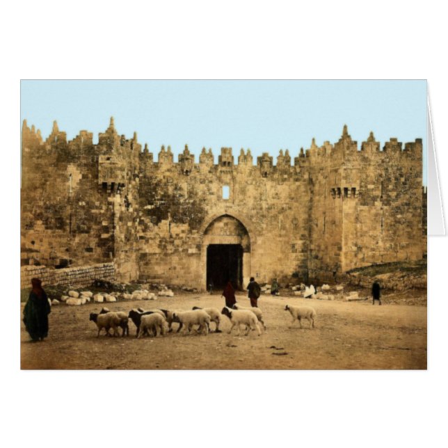 Jérusalem - Porte de Damas (Devant horizontal)