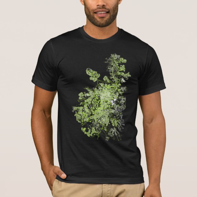 Jerusalem + walkcity T-Shirt (Front)