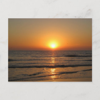 Jess&apos; Pix 146_3 Postcard