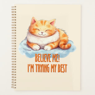 J'essaie mon meilleur chat orange mou