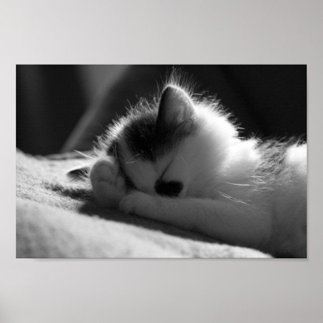 Jessy Jane - Petit poster (Devant)