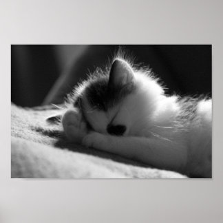 Jessy Jane - Small poster