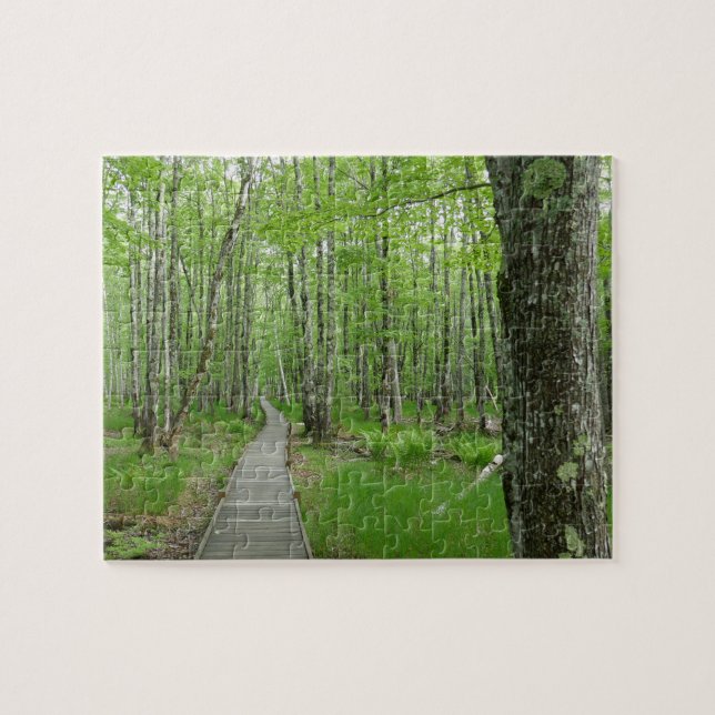 Jesup Path Boardwalk Trail Jigsaw Puzzle (Horizontal)
