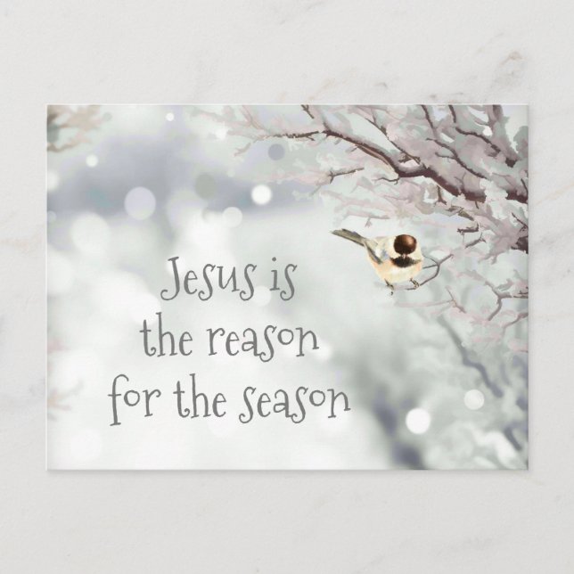 Jesus Christmas Quote Cute Winter Frost Bird Holiday Postcard (Front)