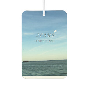 Jesus & Dove Peaceful Sky Scene Air Freshener