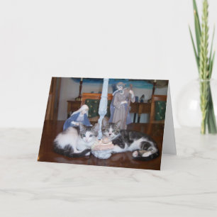 Jesus kittens holiday card