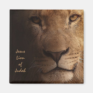 Jesus Lion of Judah Inspirational Christian Quote Magnet