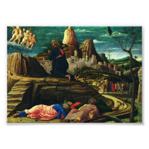 Jesus prays in the Garden of Gethsemane Photo Print