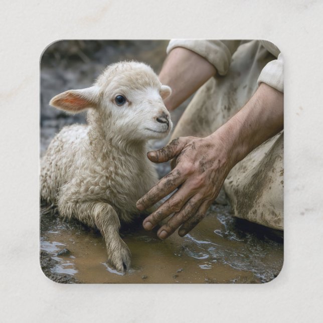 Jesus Rescuing a Lamb From a Mud Puddle Square Business Card (Front)