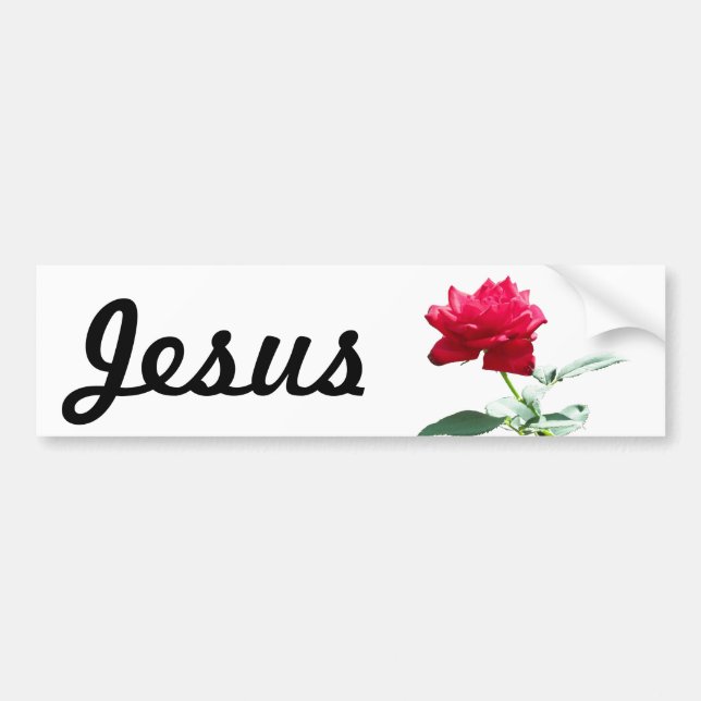 Jesus Rose Bumper Sticker (Front)