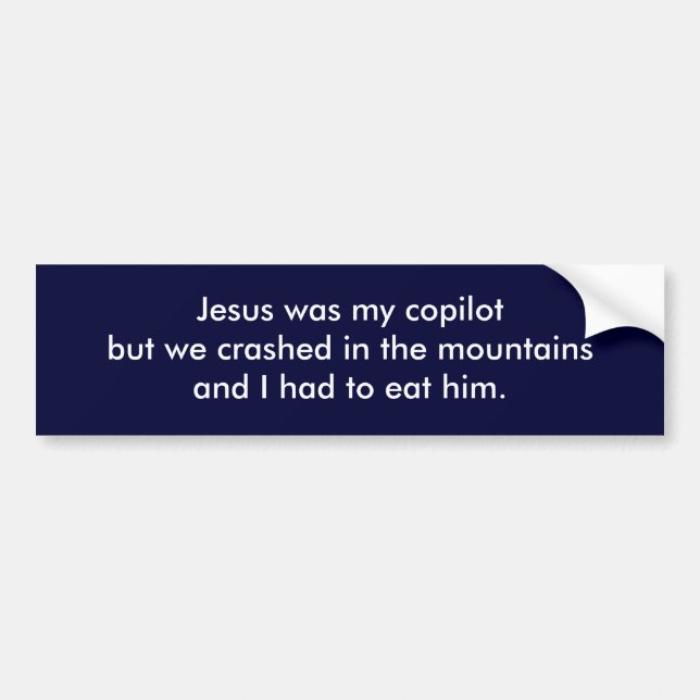 Jesus was my copilot but we crashed in the moun... bumper sticker (Front)