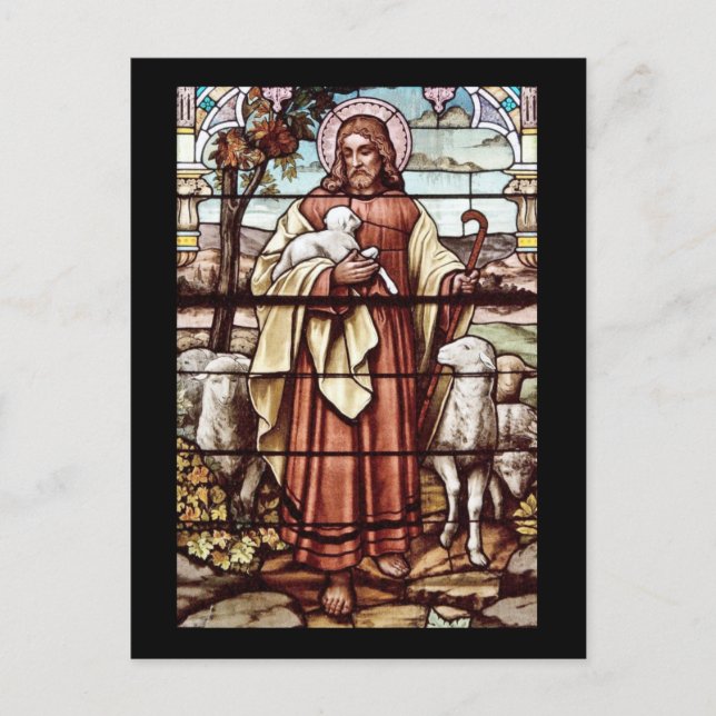 Jesus with His Sheep Postcard (Front)