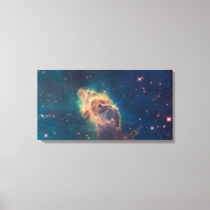 Jet in Carina Wrapped Canvas