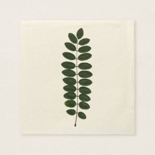 Jetable Serviette de feuille d'acacia