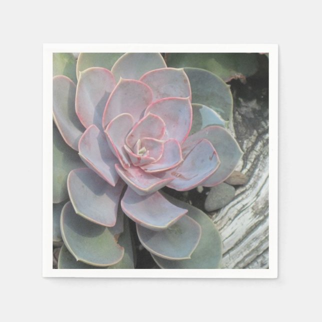 Jetable Succulent serviette (Devant)