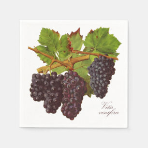 Jetables Serviettes de papier de raisins pourpres