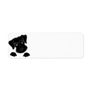 jeter un coup d'oeil noir de schnauzer miniature