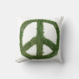 Jetez un oreiller pour chaque chambre