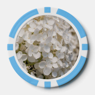 Jeton de poker, fleurs blanche poker chips