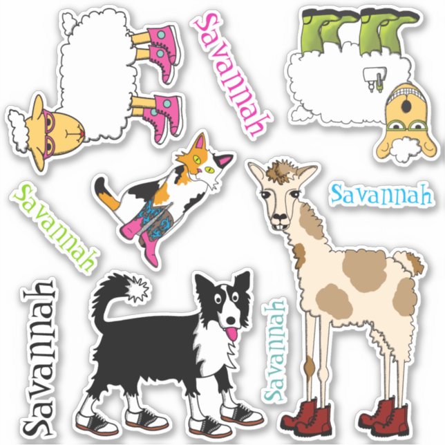 Jett and Friends Variety (Front)