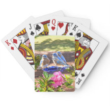 050 oiseaux bleus jouant pour toujours aux cartes