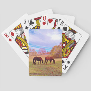 Jeu De Cartes 2 chevaux Brown dans un champ coloré