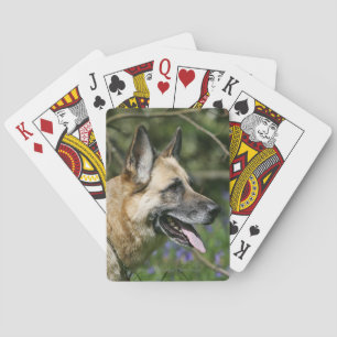 JEU DE CARTES 3