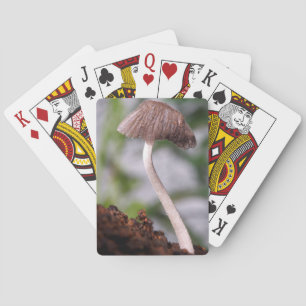 Jeu De Cartes A Mushroom