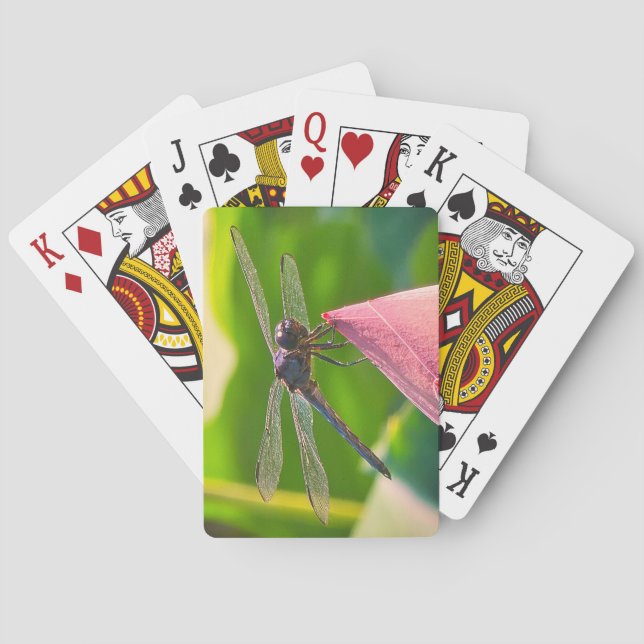 Jeu De Cartes A Slaty Skimmer dragonfly (dos)