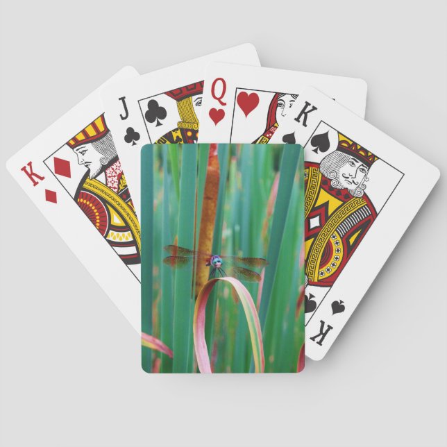 Jeu De Cartes A teal Eyed Dragonfly with cattails (dos)