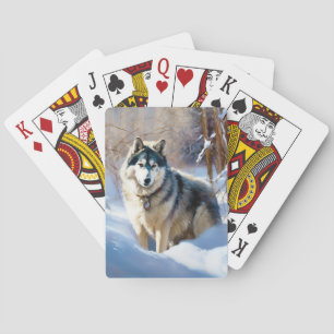 Jeu De Cartes Aaskan Malamute Laisser Il Neige Noël