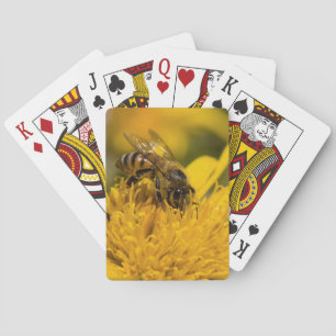 Jeu De Cartes Abeille Africaine Avec Des Sacs De Pollen En Train