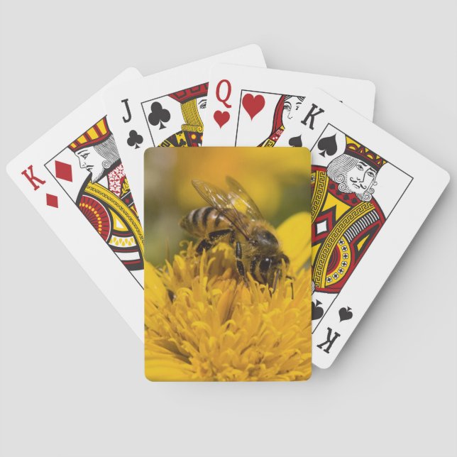 Jeu De Cartes Abeille africaine de miel avec l'alimentation de (dos)