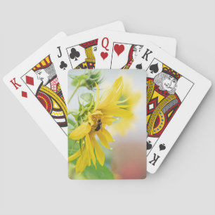 Jeu De Cartes Abeille Et Tournesol