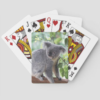 Jeu De Cartes Adorable Ours de Koala Feuilles verts Faune