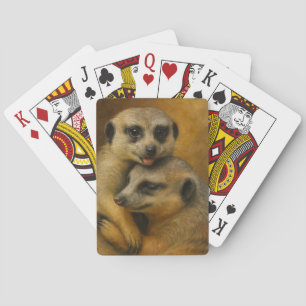 Jeu De Cartes Affection de Meerkat