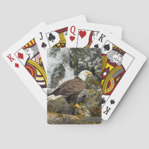 Jeu De Cartes Aigle à tête blanche