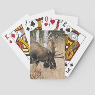 Jeu De Cartes Aiguille
