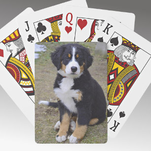 Jeu De Cartes Ajoutez votre garde-photo excellente qualité