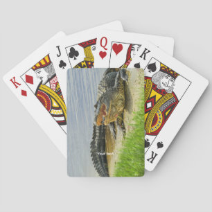 Jeu De Cartes Alligator américain de Floride