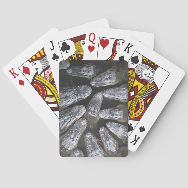 Jeu De Cartes Alligator Lecture de Cartes (dos)