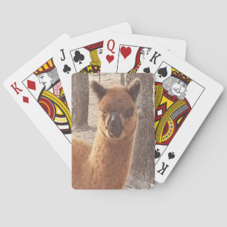 Jeu De Cartes Alpaca