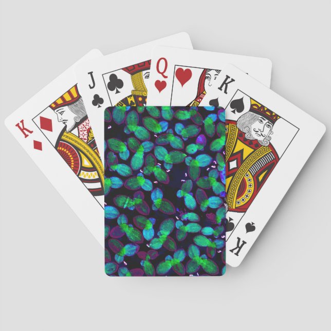 Jeu De Cartes Aluminium (dos)