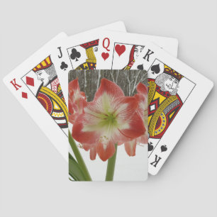 Jeu De Cartes Amaryllis en Fête Rouge Neige Hiver Floral