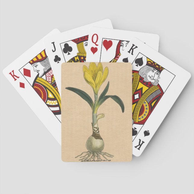 Jeu De Cartes Amaryllis Tulip Jardin Botanique Fleur (dos)