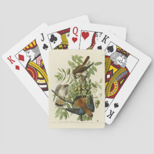 Jeu De Cartes American Sparrow Hawk - Audubon's Birds of America