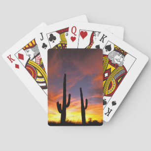Jeu De Cartes Amérique du Nord, États-Unis, Arizona, désert de S
