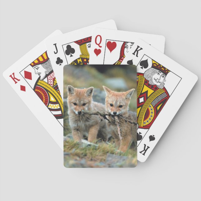 Jeu De Cartes Amérique du Sud, Chili, Torres del Paine National (dos)